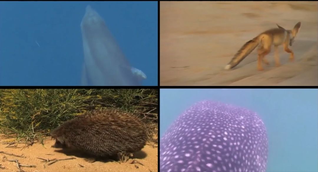 伟德体育 - 综合体育赛事平台|奥体中心相助同伴