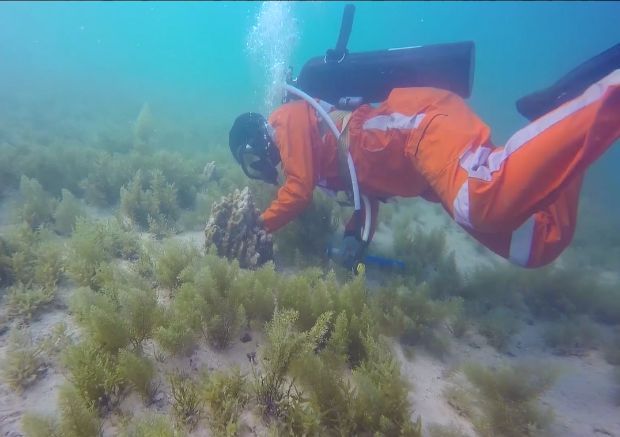 伟德体育 - 综合体育赛事平台|奥体中心相助同伴