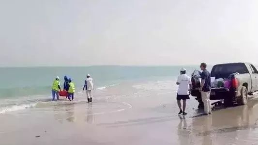 伟德体育 - 综合体育赛事平台|奥体中心相助同伴