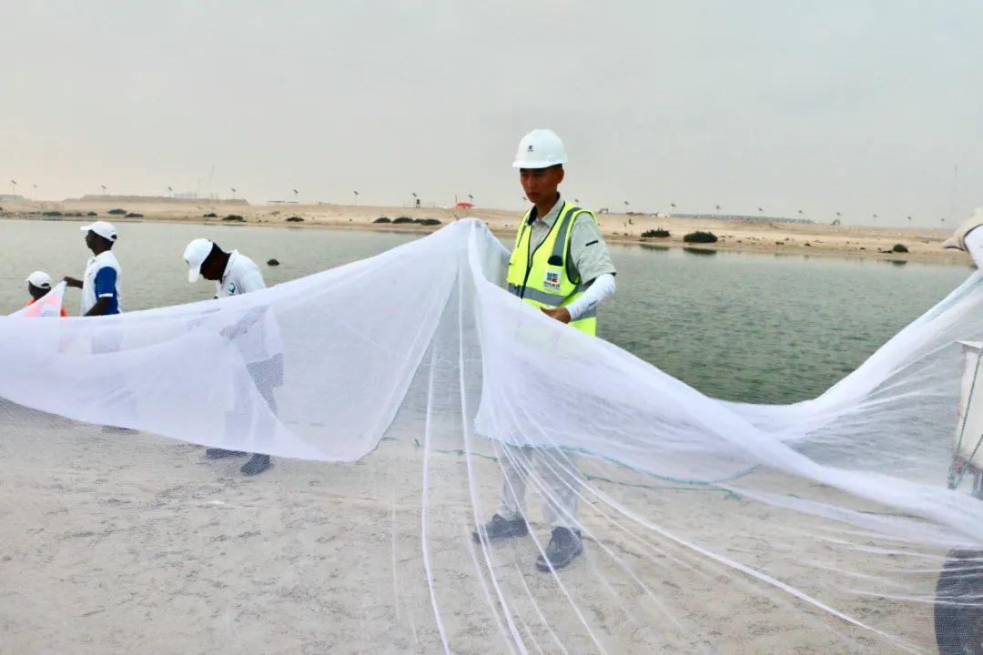 伟德体育 - 综合体育赛事平台|奥体中心相助同伴