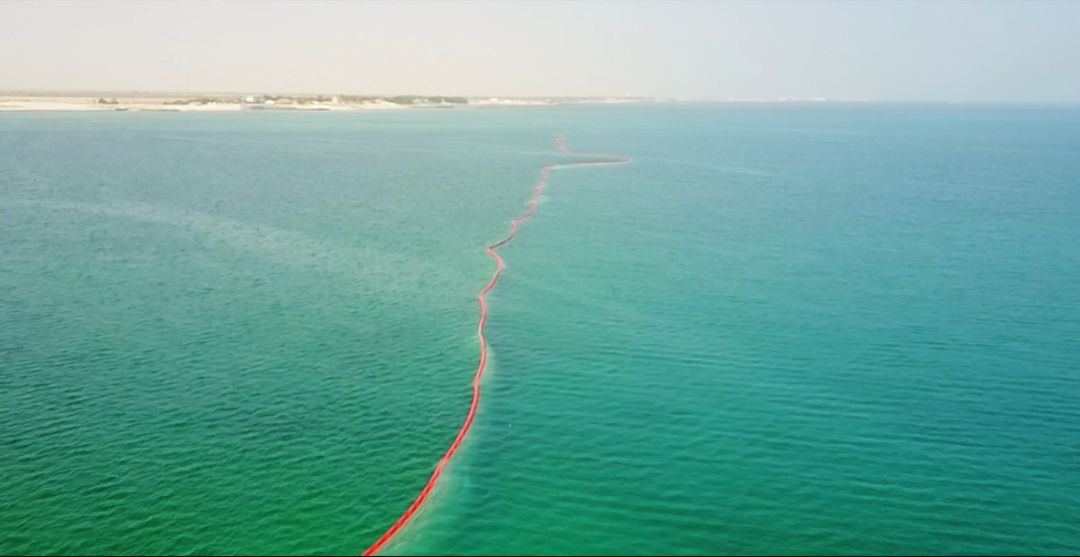 伟德体育 - 综合体育赛事平台|奥体中心相助同伴