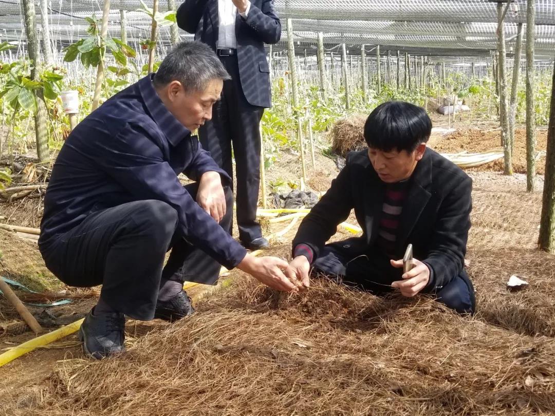 伟德体育 - 综合体育赛事平台|奥体中心相助同伴