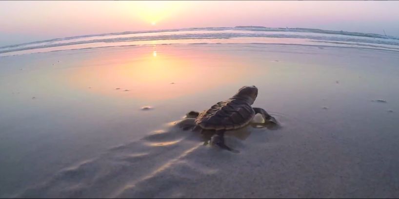 伟德体育 - 综合体育赛事平台|奥体中心相助同伴