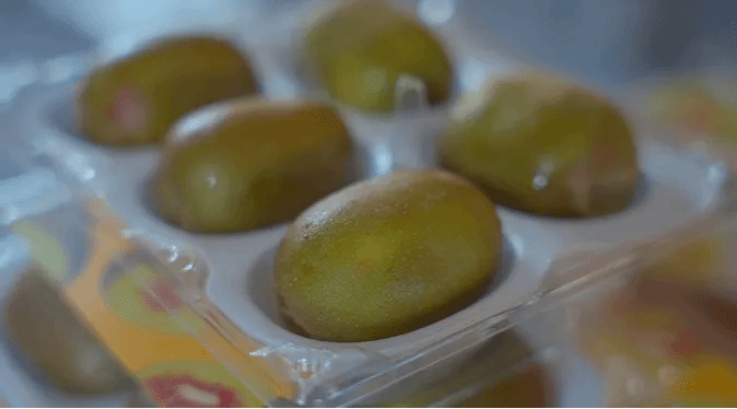 伟德体育 - 综合体育赛事平台|奥体中心相助同伴