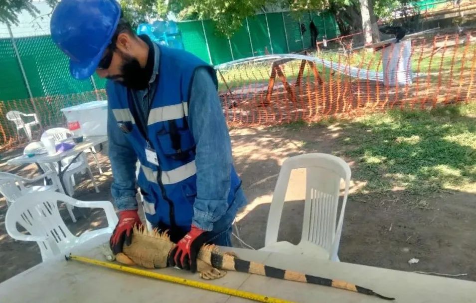 伟德体育 - 综合体育赛事平台|奥体中心相助同伴