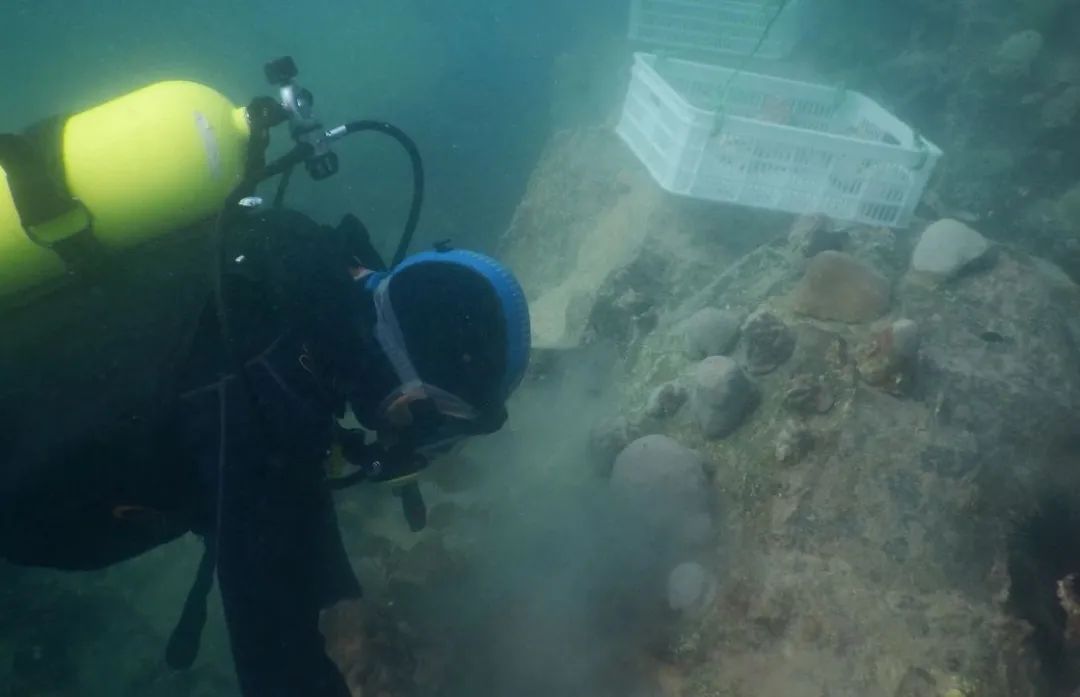 伟德体育 - 综合体育赛事平台|奥体中心相助同伴