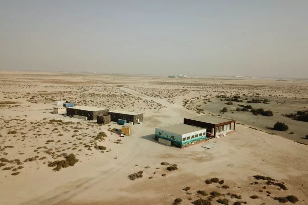 伟德体育 - 综合体育赛事平台|奥体中心相助同伴