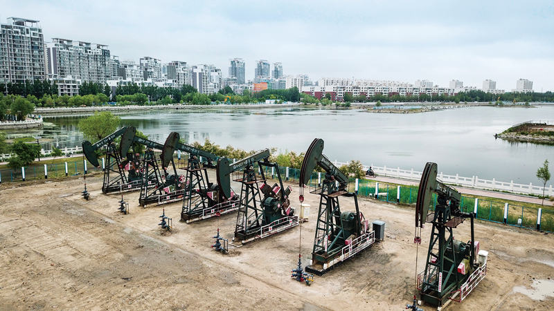 伟德体育 - 综合体育赛事平台|奥体中心相助同伴