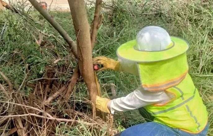 伟德体育 - 综合体育赛事平台|奥体中心相助同伴