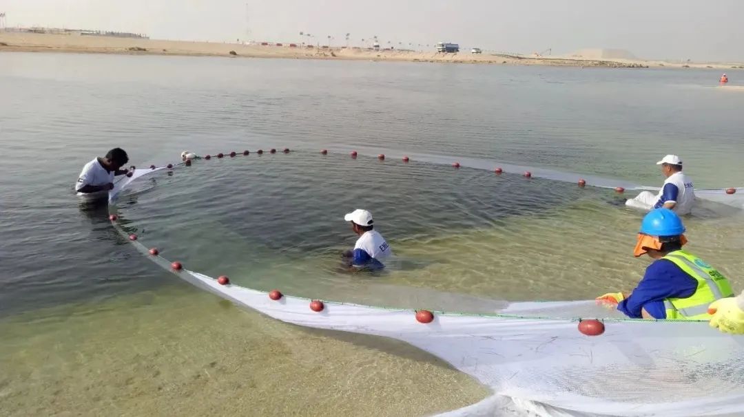 伟德体育 - 综合体育赛事平台|奥体中心相助同伴