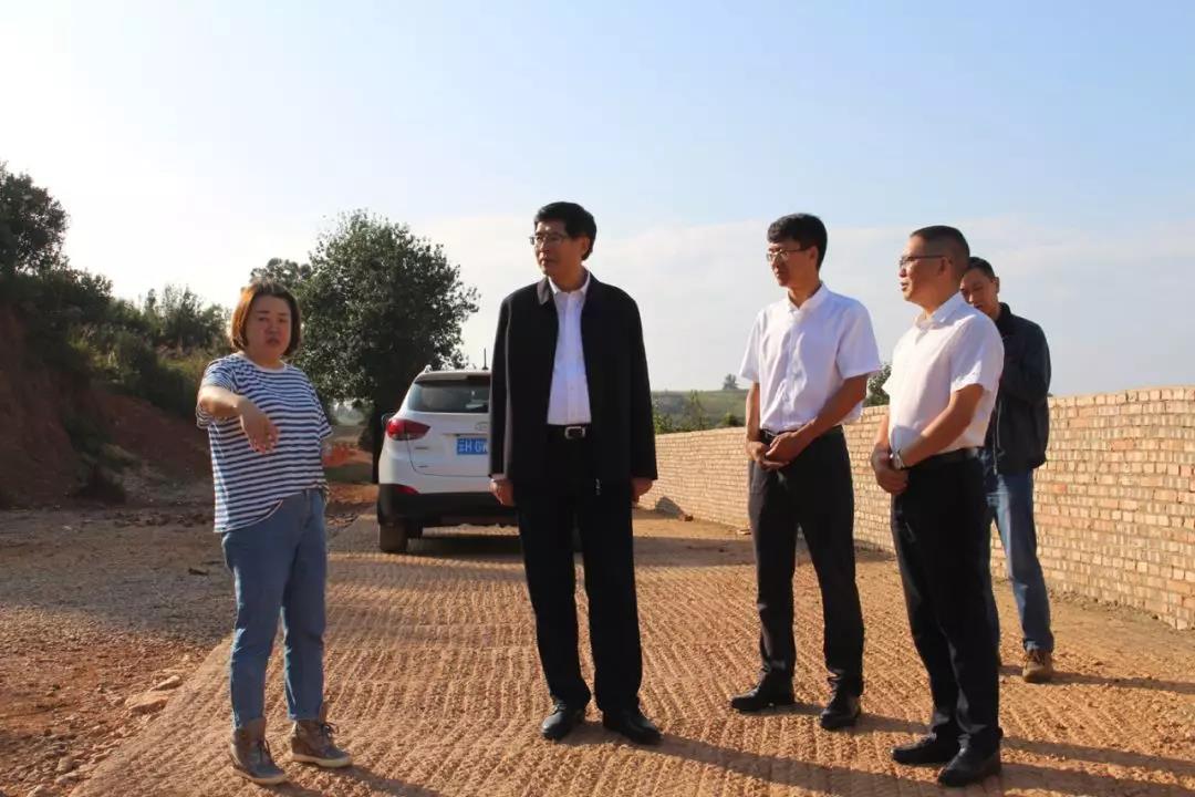 伟德体育 - 综合体育赛事平台|奥体中心相助同伴