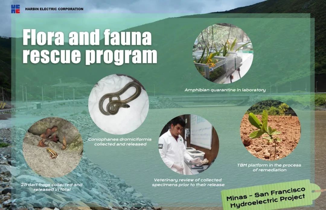 伟德体育 - 综合体育赛事平台|奥体中心相助同伴