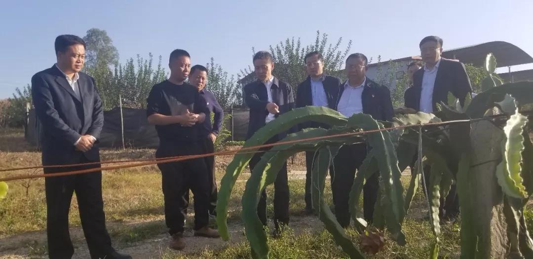 伟德体育 - 综合体育赛事平台|奥体中心相助同伴