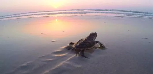 伟德体育 - 综合体育赛事平台|奥体中心相助同伴