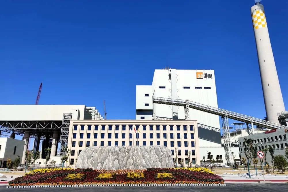 伟德体育 - 综合体育赛事平台|奥体中心相助同伴