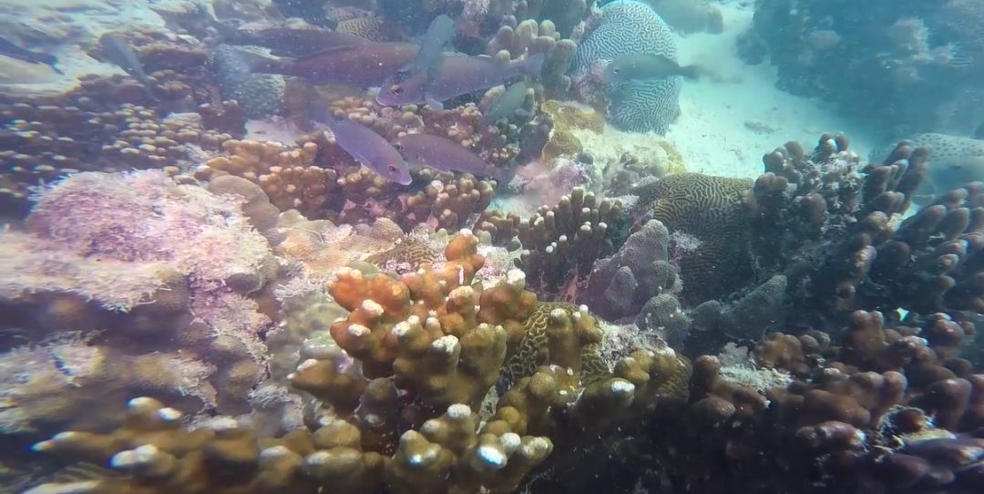 伟德体育 - 综合体育赛事平台|奥体中心相助同伴