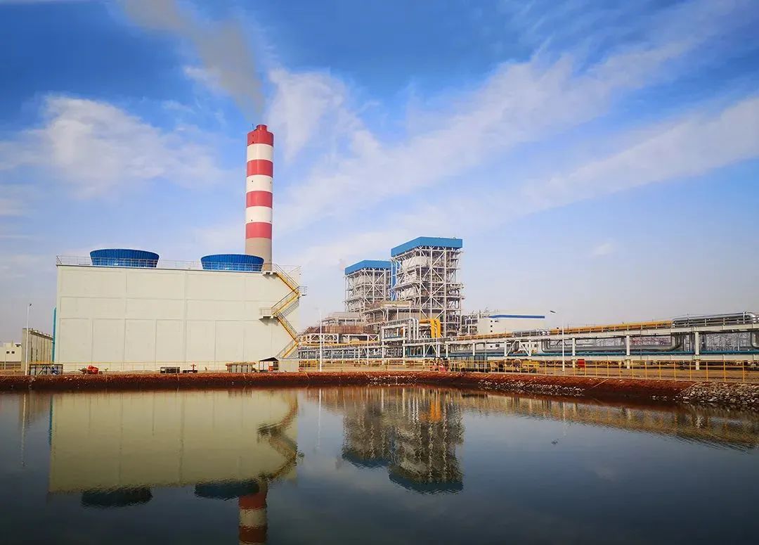 伟德体育 - 综合体育赛事平台|奥体中心相助同伴