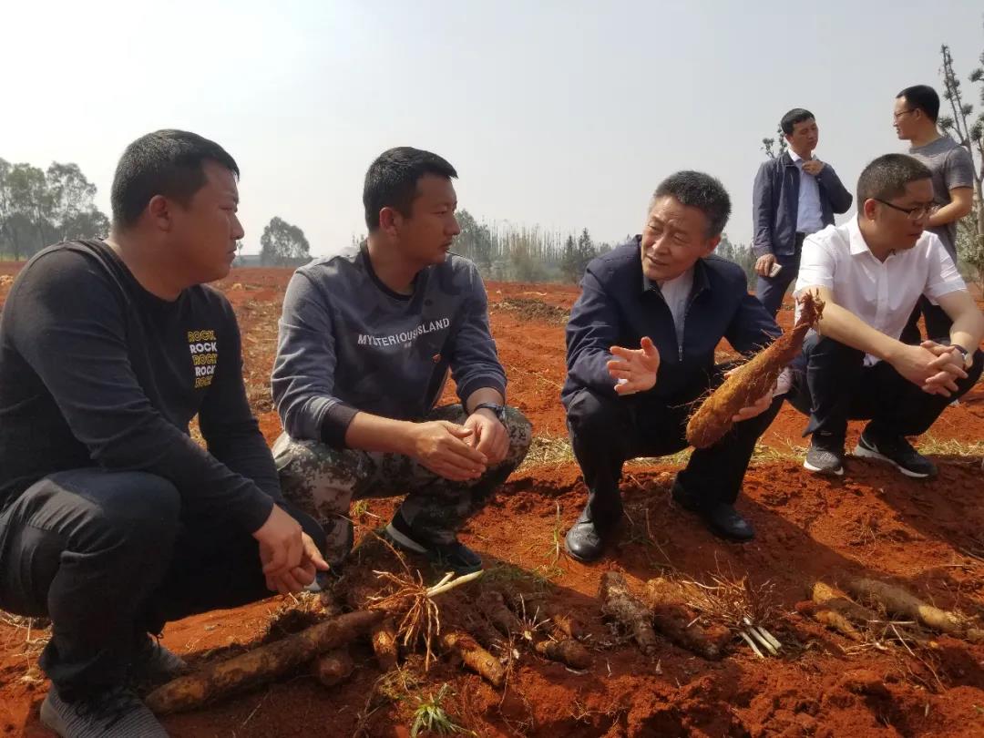 伟德体育 - 综合体育赛事平台|奥体中心相助同伴