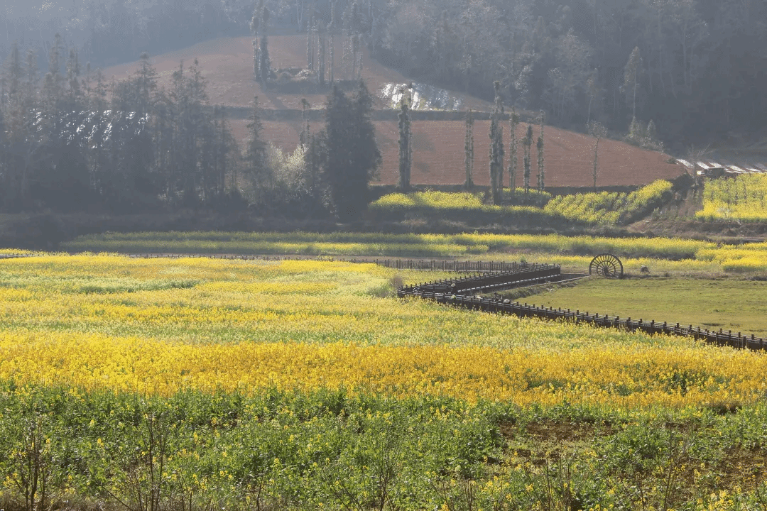 伟德体育 - 综合体育赛事平台|奥体中心相助同伴
