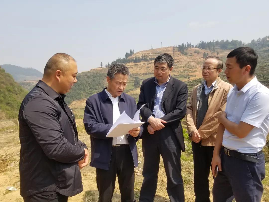 伟德体育 - 综合体育赛事平台|奥体中心相助同伴